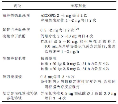 快速上手指南:雾化吸入治疗药物