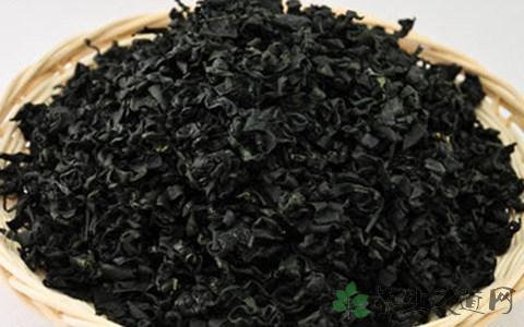 干裙带菜的吃法_哪些人不能吃干裙带菜