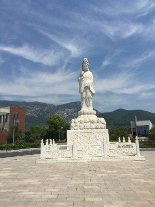 登封锦鹏生态酒店预订价格,联系电话\位置地址【携程