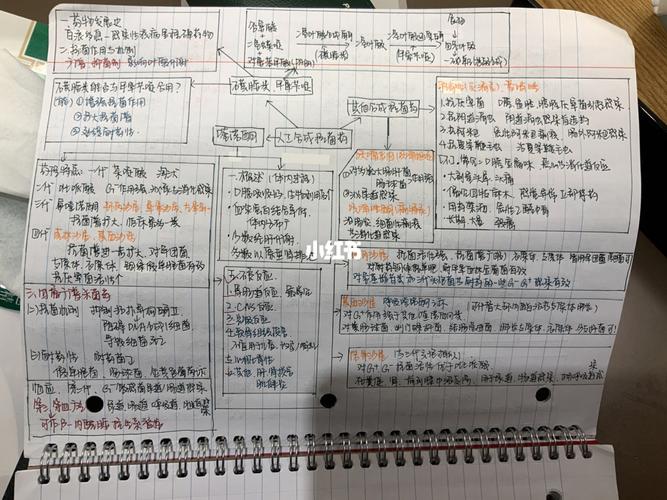 药理学 思维导图_药理学笔记_教育_教育其他