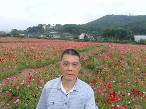 富士山下的花舞人间