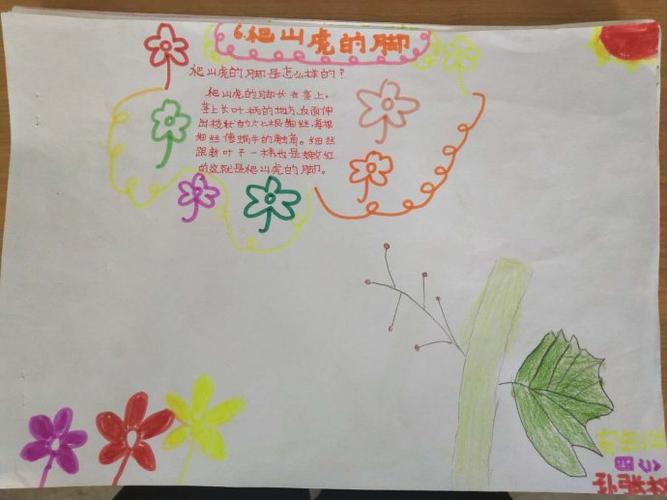 爬山虎的脚图画式理解重点段落学生作品