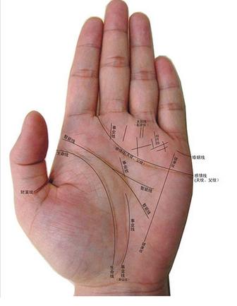 生命线分叉怎么办