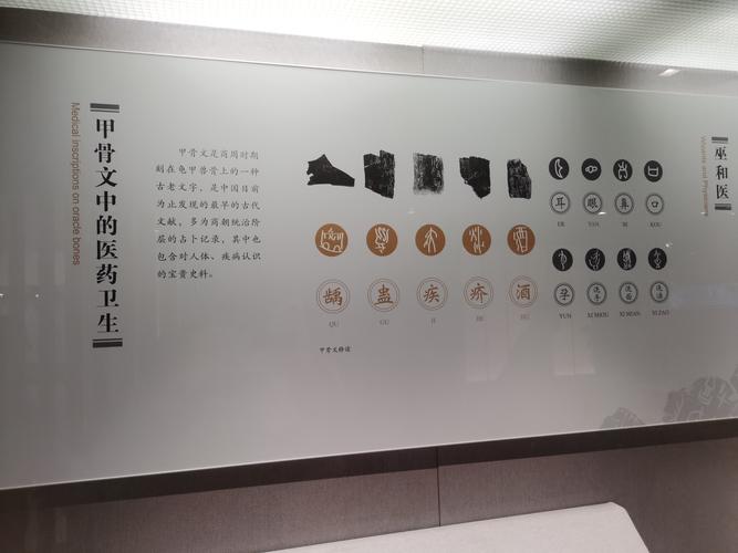 上海中医药大学医史博物馆