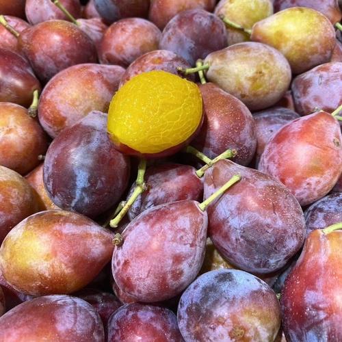 澳洲进口西梅5斤新鲜孕妇宝宝辅食水果智利进口西梅新鲜黑布林