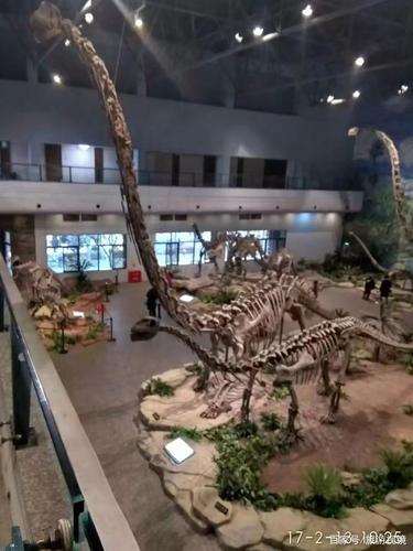 自贡恐龙博物馆化石