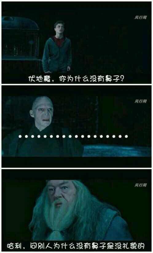 伏:我…… 邓:哈利 ,你还拥有一件伏地魔没有的东西.