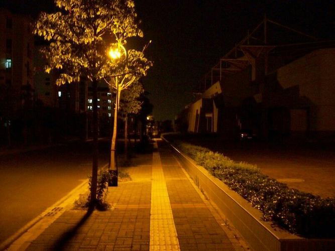 湖北通山原野诗社群诗刊第二期《咏路灯》