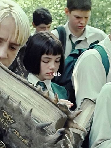 潘西的身世另马尔福一家都很震惊,是啊睡会想过那个不懂得爱的伏地魔