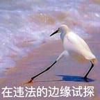 边缘试探表情包带字版