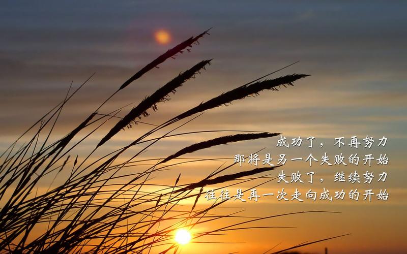 桌面壁纸高清励志