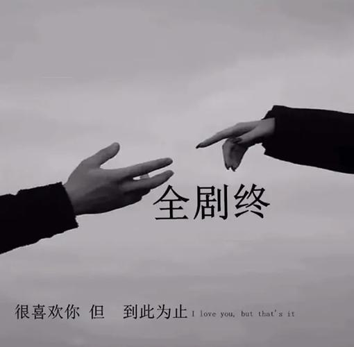 首页 资讯教程 互联网 抖音全剧终很喜欢你,但到此为止图片背景图高清