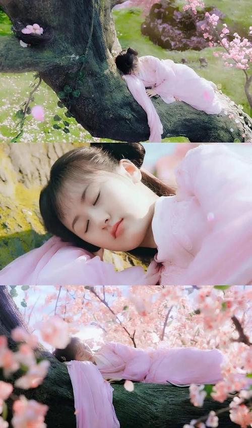 电视剧壁纸:琉璃美人煞(袁冰妍&祝璇玑)高清图片