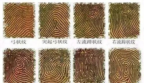 古人按手印能鉴定出谁的古人指纹吗