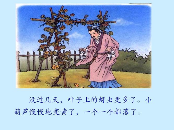 二年级上册西师大版语文第23课我要的是葫芦课件