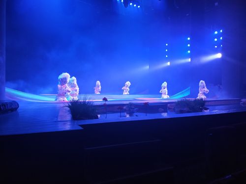 丽江之旅——印象丽江大型歌舞表演