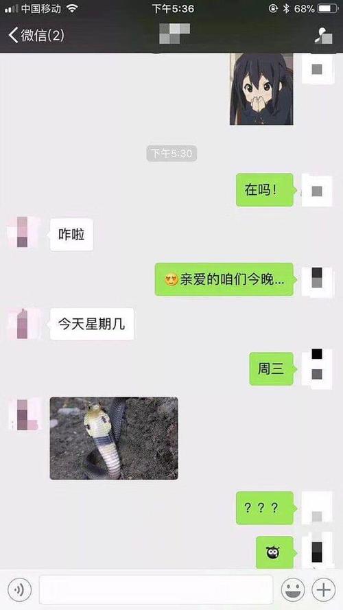 女的发眼镜蛇图是什么意思周三眼镜蛇有何梗内涵介绍