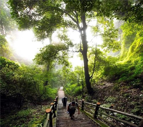 云南武定狮子山景区将在疫情结束后向全国医务工作者等免费开放