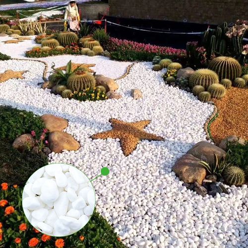 50斤铺地白石子石头小白造景山水庭院铺路暖石其它园艺用品