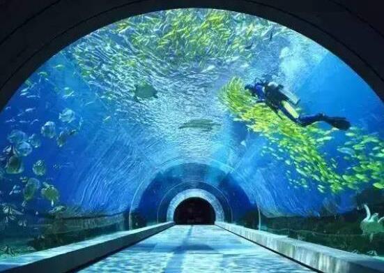 中国十大海洋馆排行榜,厦门海底世界,亚龙湾海底世界吸引众人向往