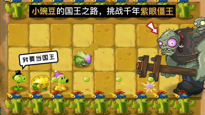 植物大战僵尸:小豌豆的国王之路,挑战千年紫眼僵王!