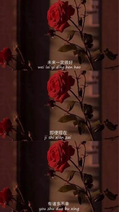 壁纸