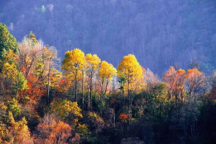 城口彩叶惊艳秋天