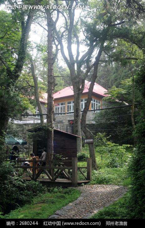 庐山树林里的房子