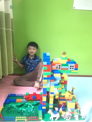 晨晨六月乐高拼砌之旅