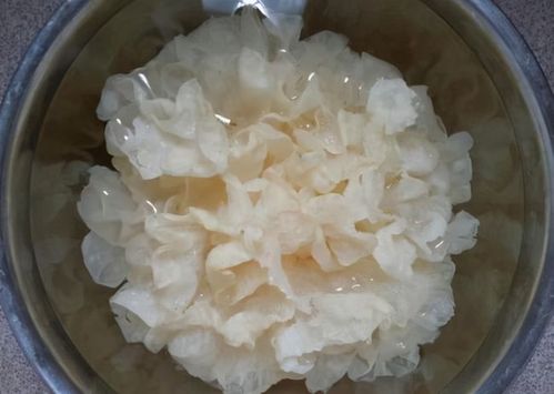 煮银耳汤时不要直接下锅了牢记这3点银耳出胶快速黏稠好喝