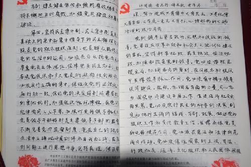 优秀手抄党章作品