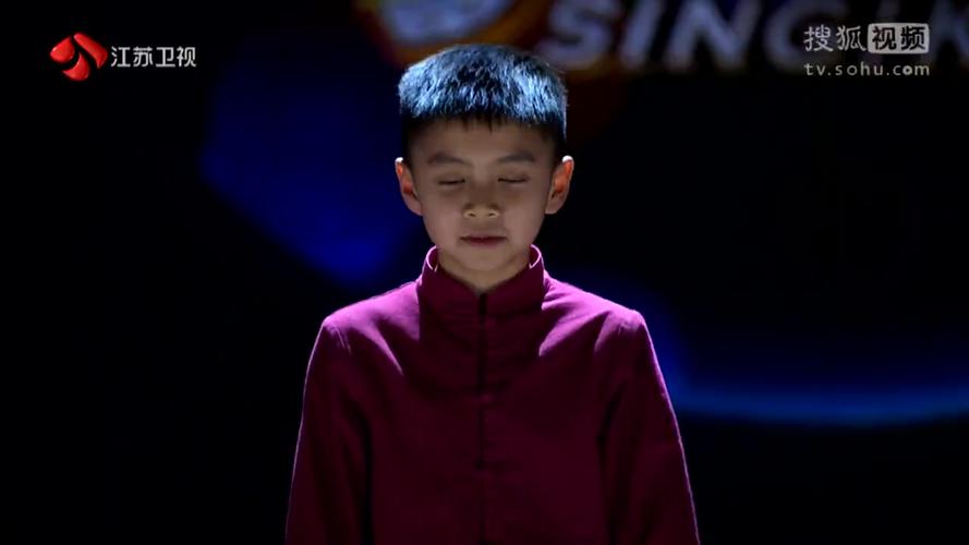 梨花颂王泓翔歌声的翅膀戳心的唱腔