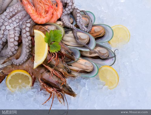 冰块上的海鲜原材料高清图片 - 素材中国16素材网