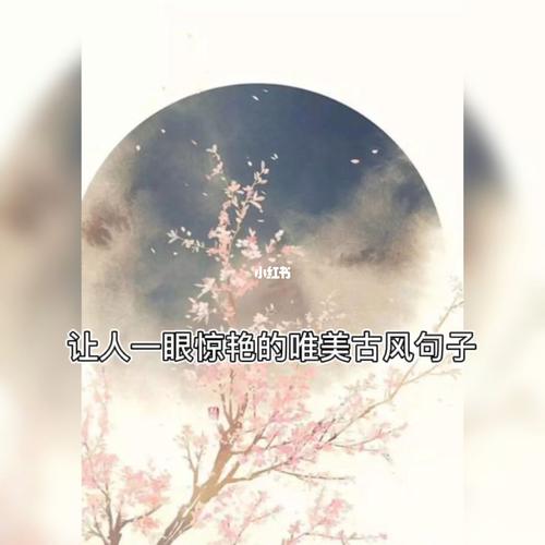 古风句子_古风_惊艳到你的句子_素材_文字素材