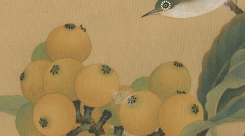 枇杷绣眼图(原色扫描版)