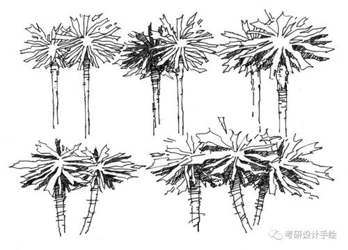 地被等,在手绘表现形式上还有2d和3d植物的区分,了解了这些基本点,再
