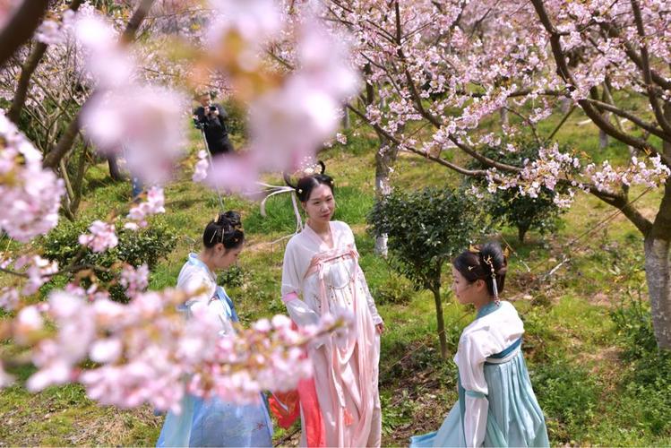 送门票!汉服与樱花齐争艳…绿野山居樱花文化节来啦!