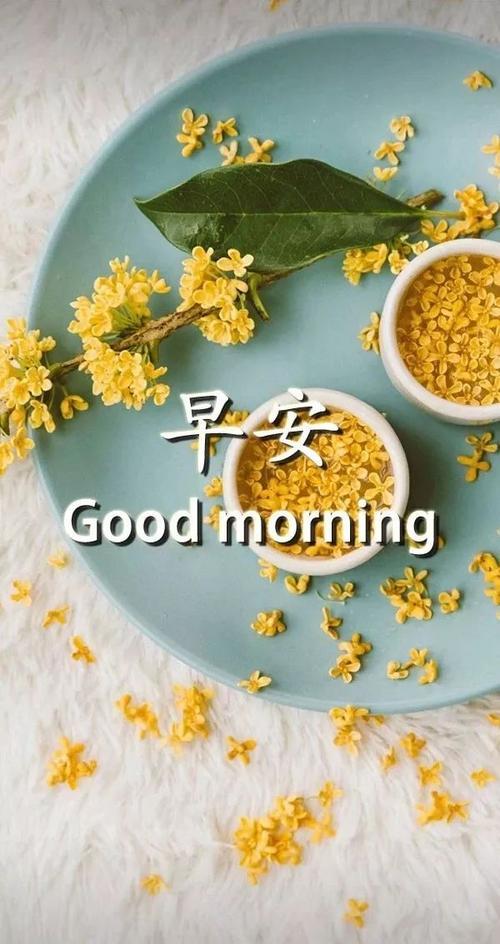 圣诞节早安语录带图片