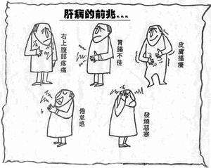 乙肝病情轻重分为几个阶段?