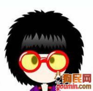 qq群头像图片大全2017