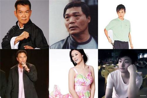 姓元的明星资料大全,元姓明星有哪些?