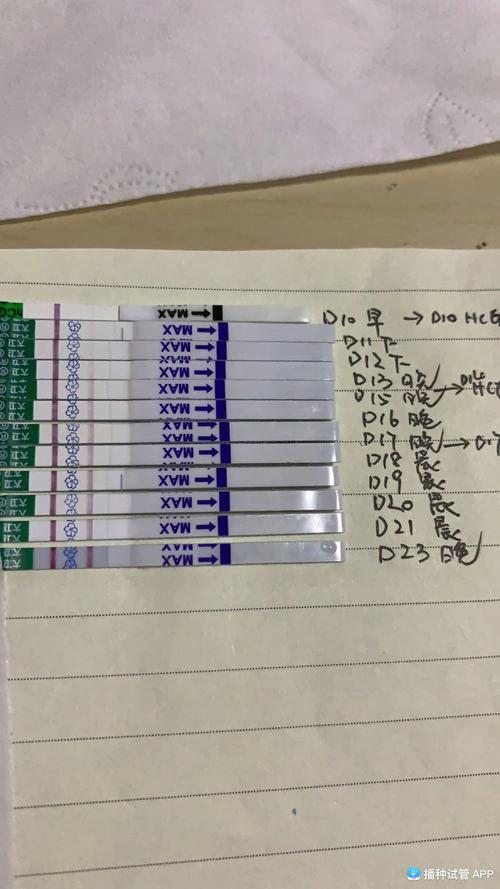 [试管婴儿]移植22天,翻倍的不错,试纸也