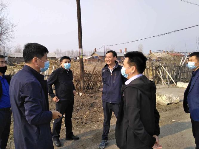 海伦市政府副市长王宝峰检查乡镇村屯环境整治及造林绿化工作落实情况