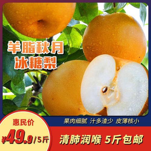 莱阳羊脂秋月冰糖梨 爆汁蜜梨 产地直发 包邮