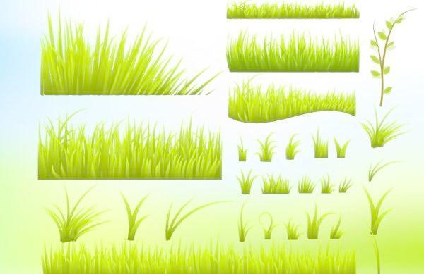 绿草向量