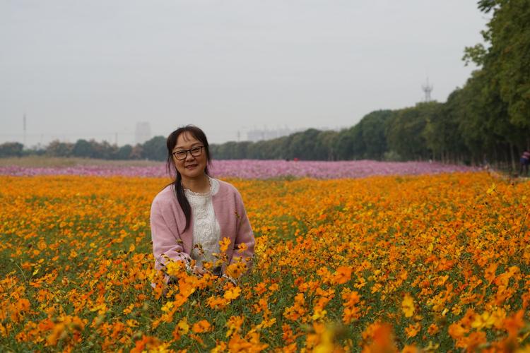 游玩宛山荡湿地公园