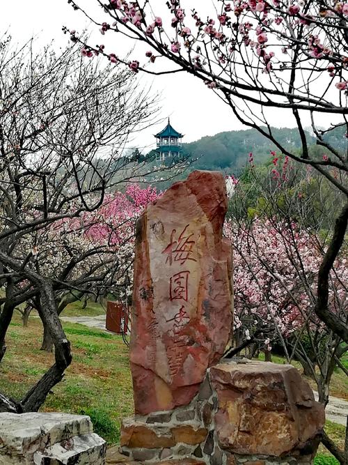 无锡梅园_风景_poco摄影,追光