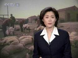 焦点访谈