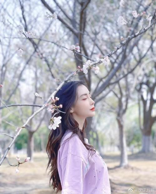 angelababy晒樱花自拍