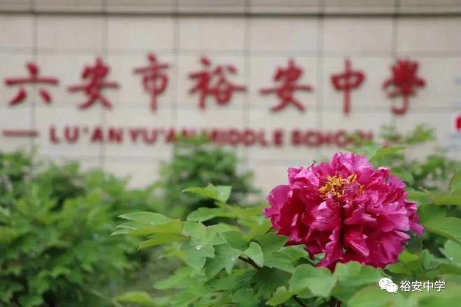 中考临近裕安中学最新发布